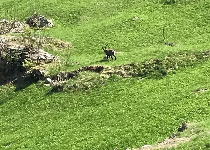 Julia Mit Sauna Σπίτι διακοπών